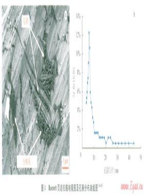 頁(yè)巖納米孔隙氣體流動(dòng)的滑脫效應(yīng)