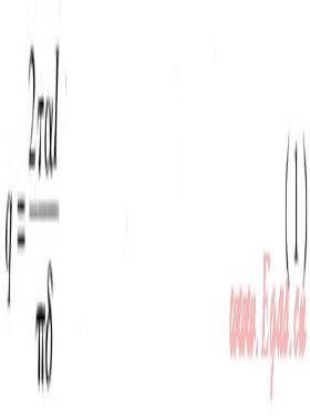 真空管太陽能集熱系統(tǒng)溫度場、速度場模擬