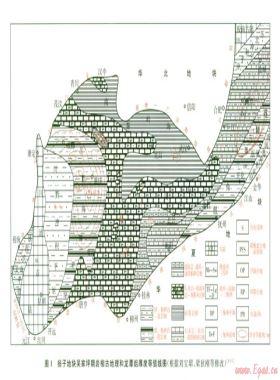 揚(yáng)子地塊上二疊統(tǒng)龍?zhí)督M頁(yè)巖氣勘探前景