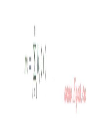 基于蟻群算法的環(huán)狀燃氣管網(wǎng)布置優(yōu)化研究