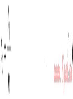 石灰窯混燒高爐煤氣和天然氣的探討